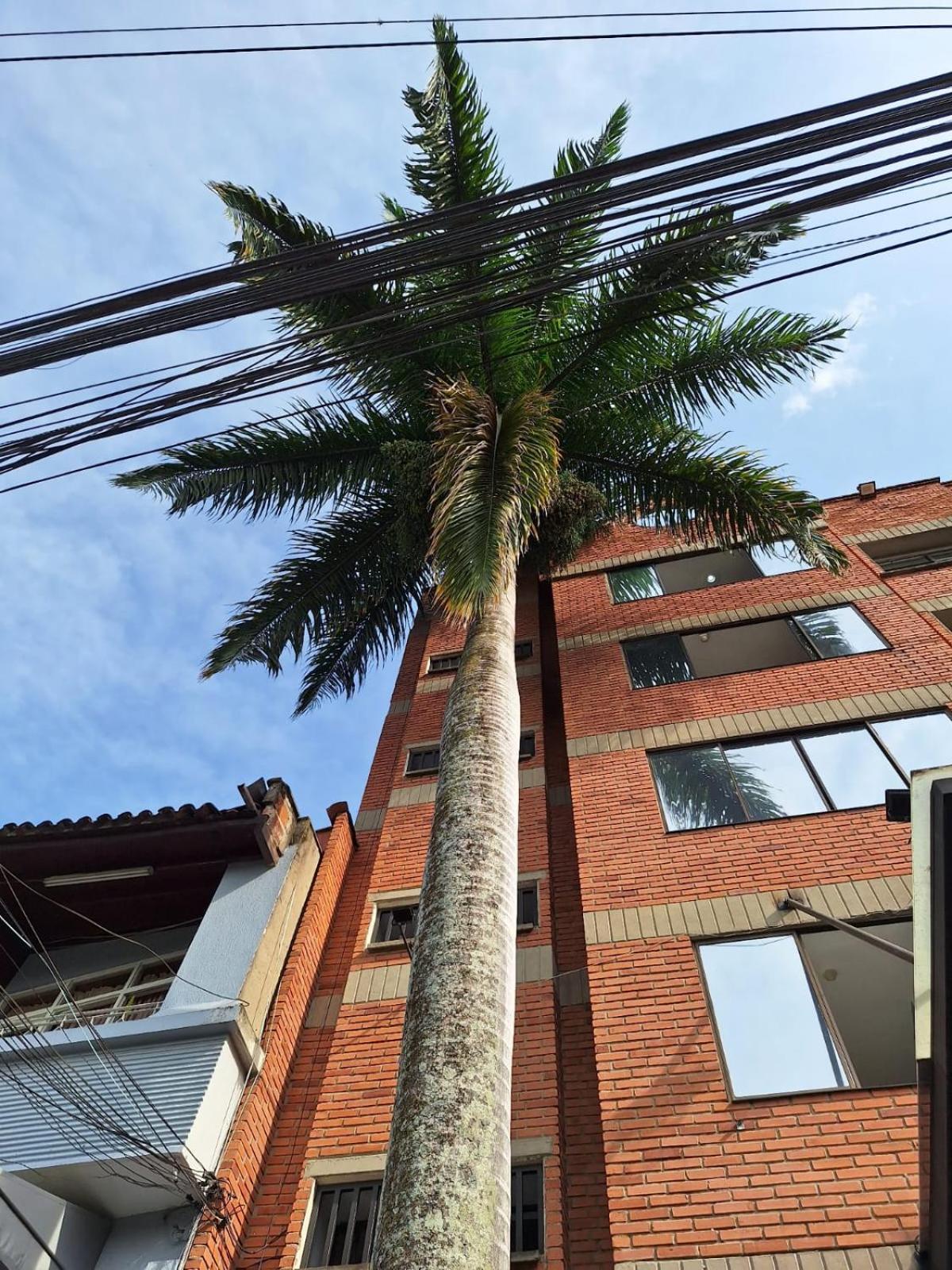 Hotel Suramericana เมเดยิน ภายนอก รูปภาพ